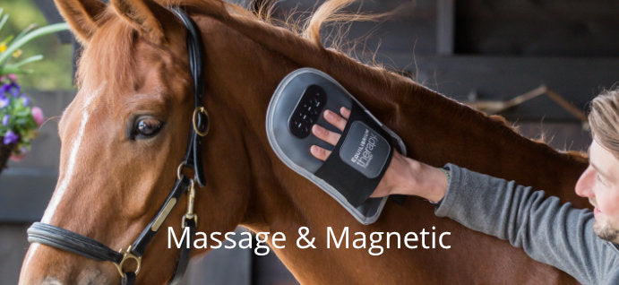 Massage, Magnetic & Wellness