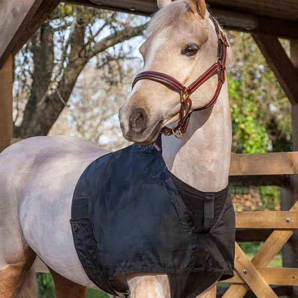 Buy the Le Mieux Anti Rub Bib | Online for Equine