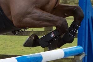 Horse Boots & Bandages