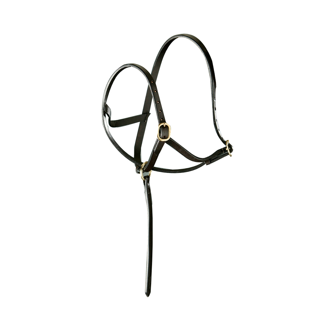 Elico English Leather Foal Slip