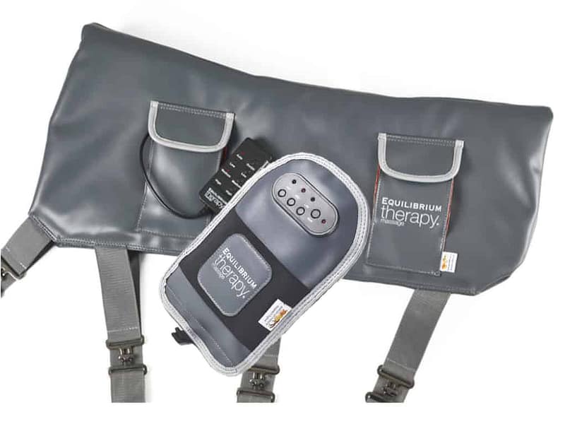 Equilibrium Massage Pad and Equilibrium Massage Mitt Bundle