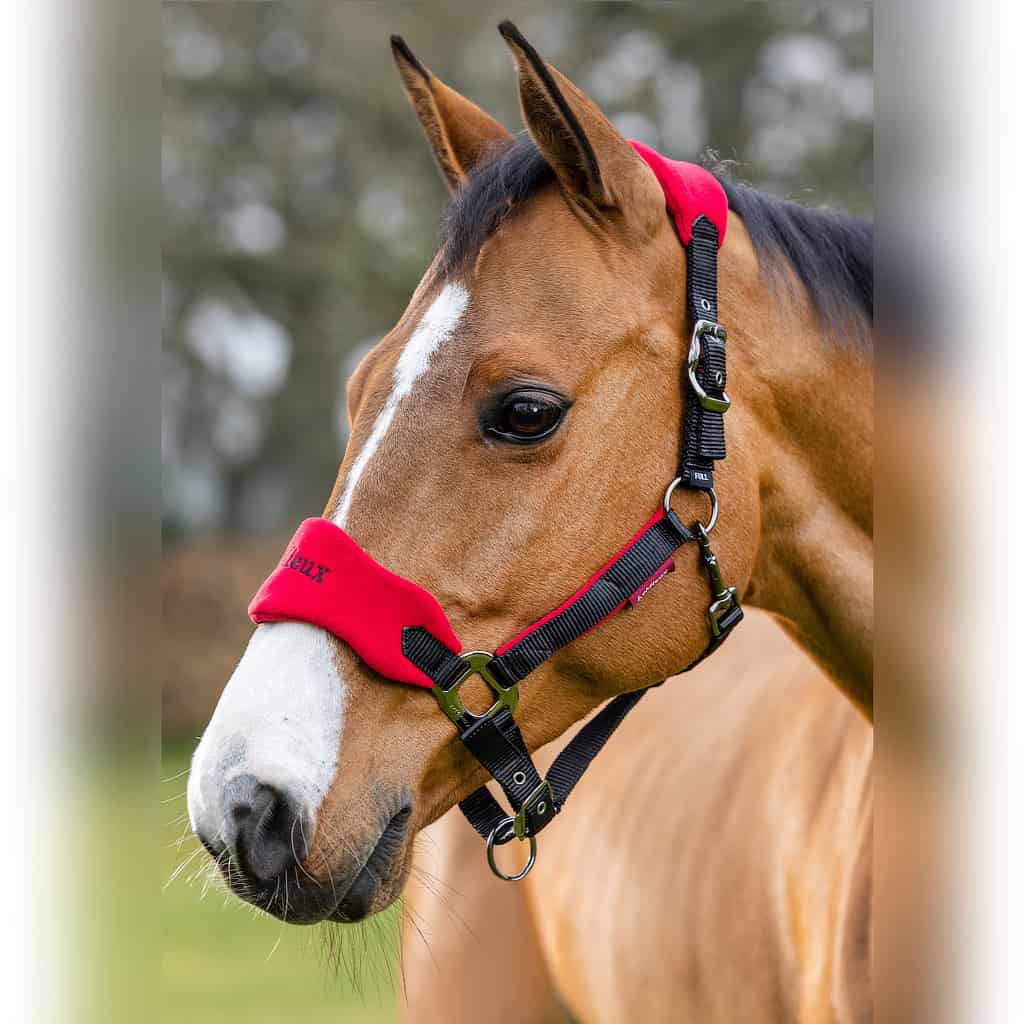 LeMieux Vogue Fleece Headcollar and Rope