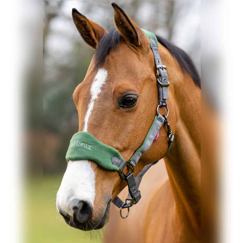 LeMieux Vogue Fleece Headcollar and Rope