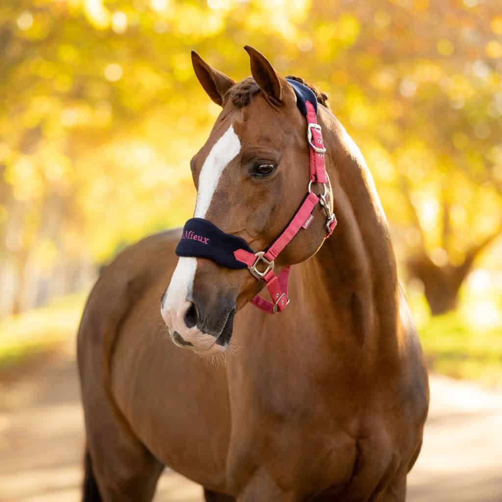 LeMieux Vogue Fleece Headcollar and Rope