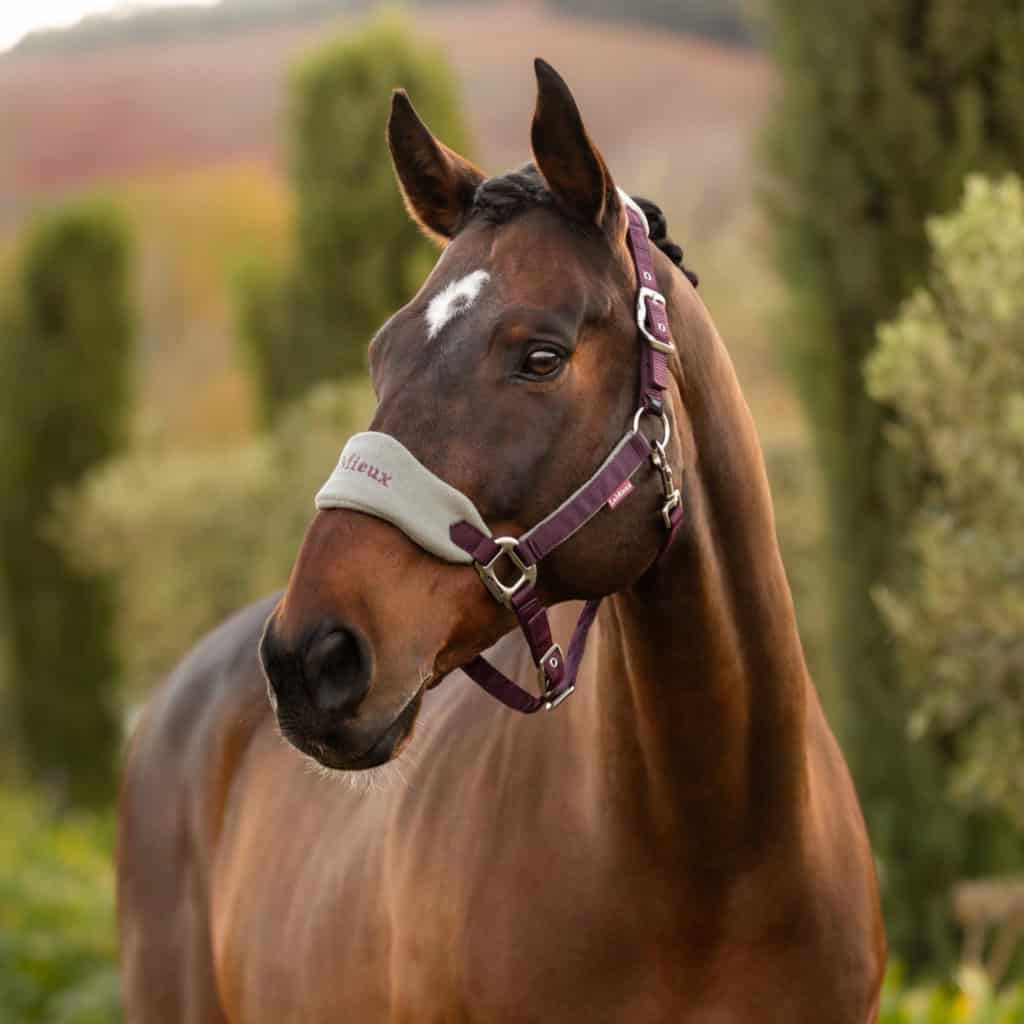 LeMieux Vogue Fleece Headcollar and Rope