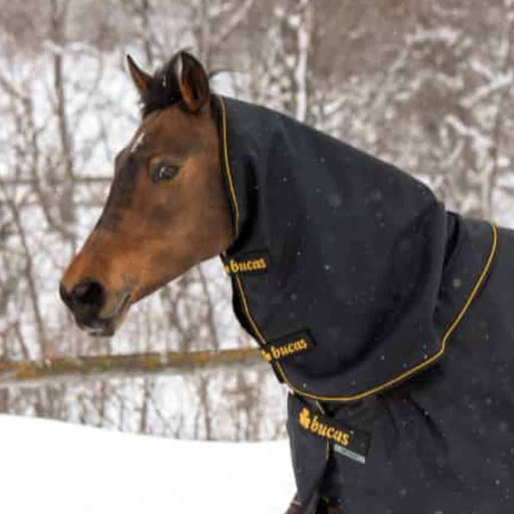 Bucas 685 Irish Turnout Combi Neck 300