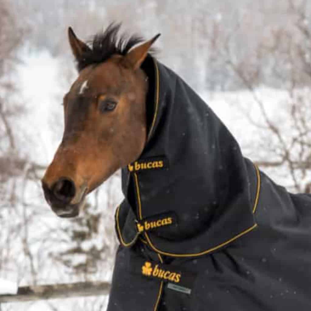 Bucas 685 Irish Turnout Combi Neck 300