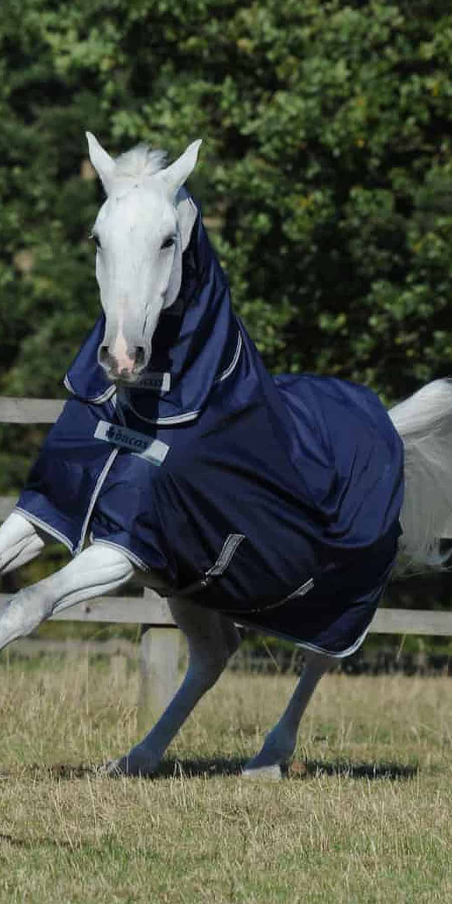Bucas Freedom Turnout Rug