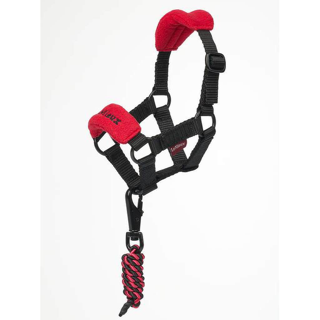 LeMieux Toy Pony Headcollar