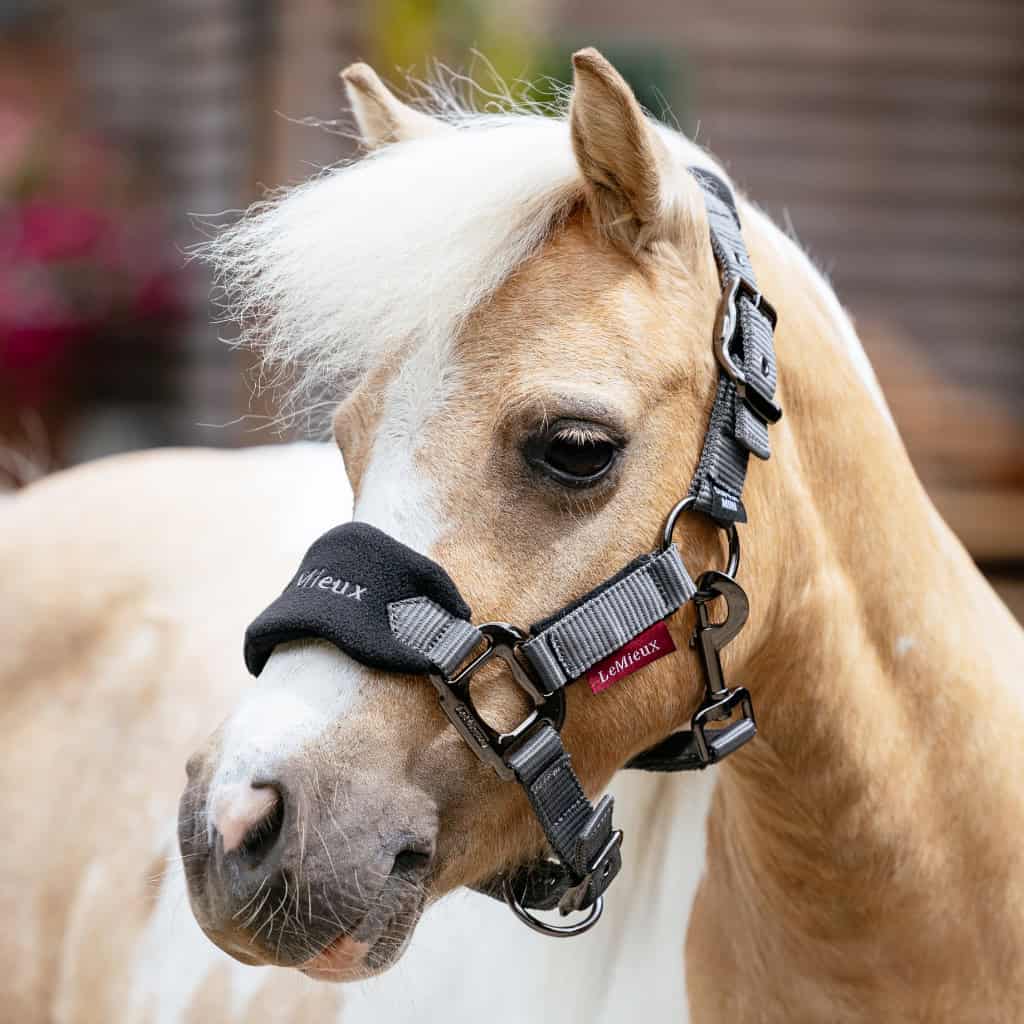 LeMieux Mini Vogue Pony Headcollar