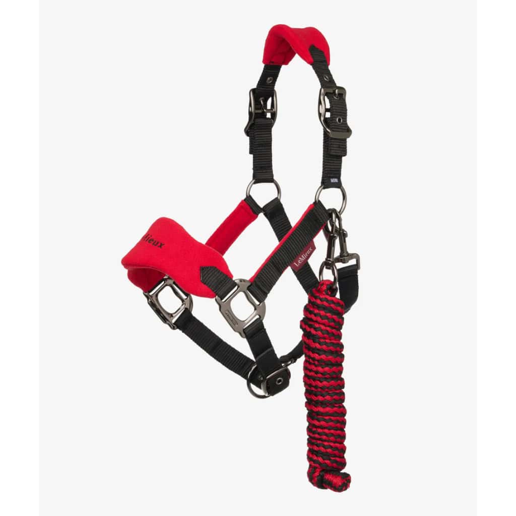 LeMieux Mini Vogue Pony Headcollar