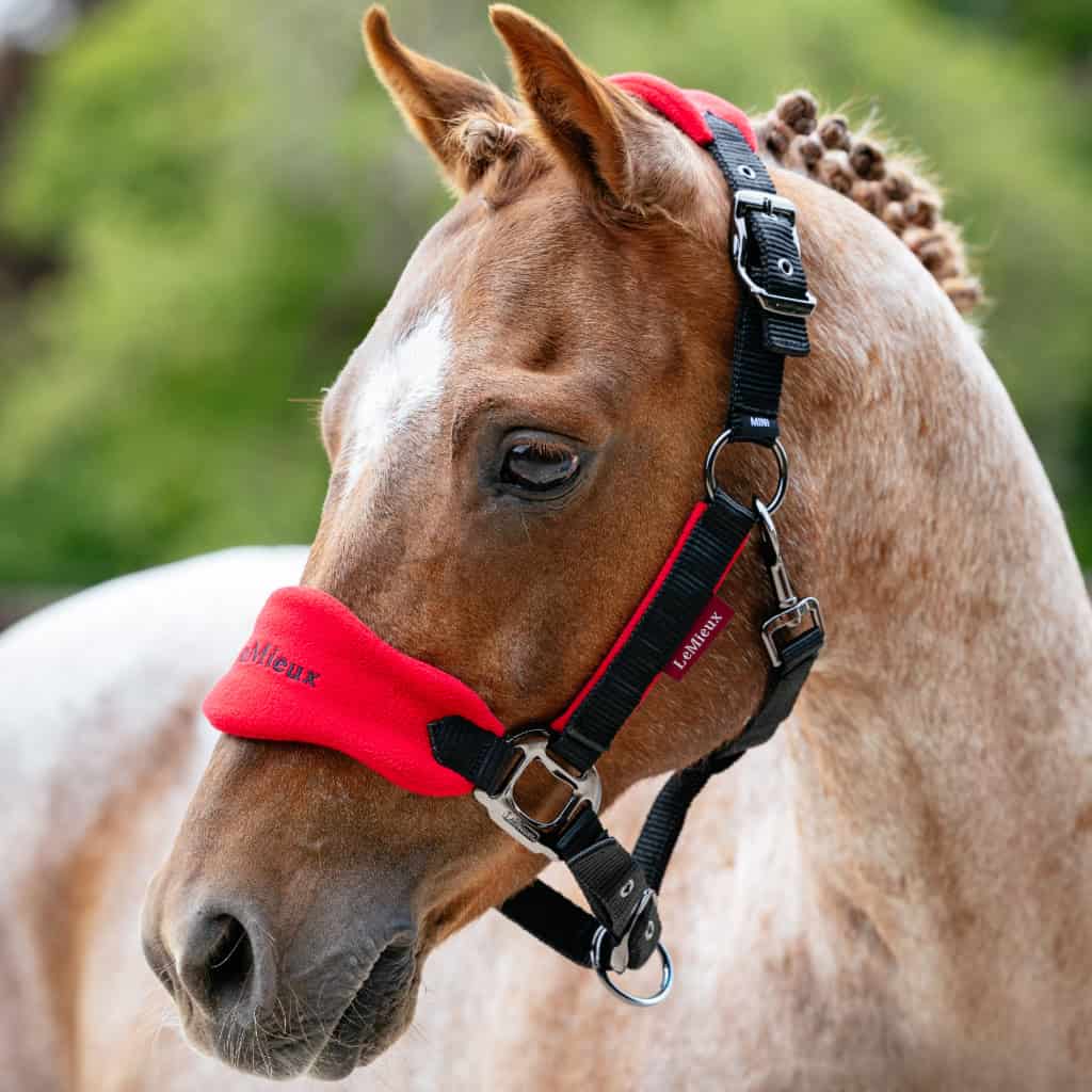 LeMieux Mini Vogue Pony Headcollar