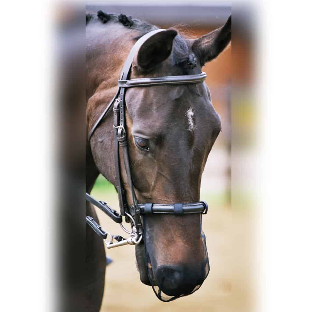 Equilibrium Net Relief Nose Net (Pack of 2)