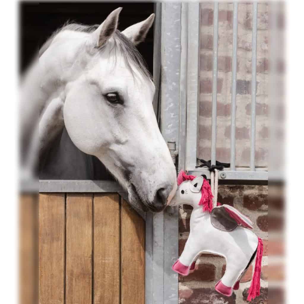 Horse Stable Toy - Emily the Flying Unicorn