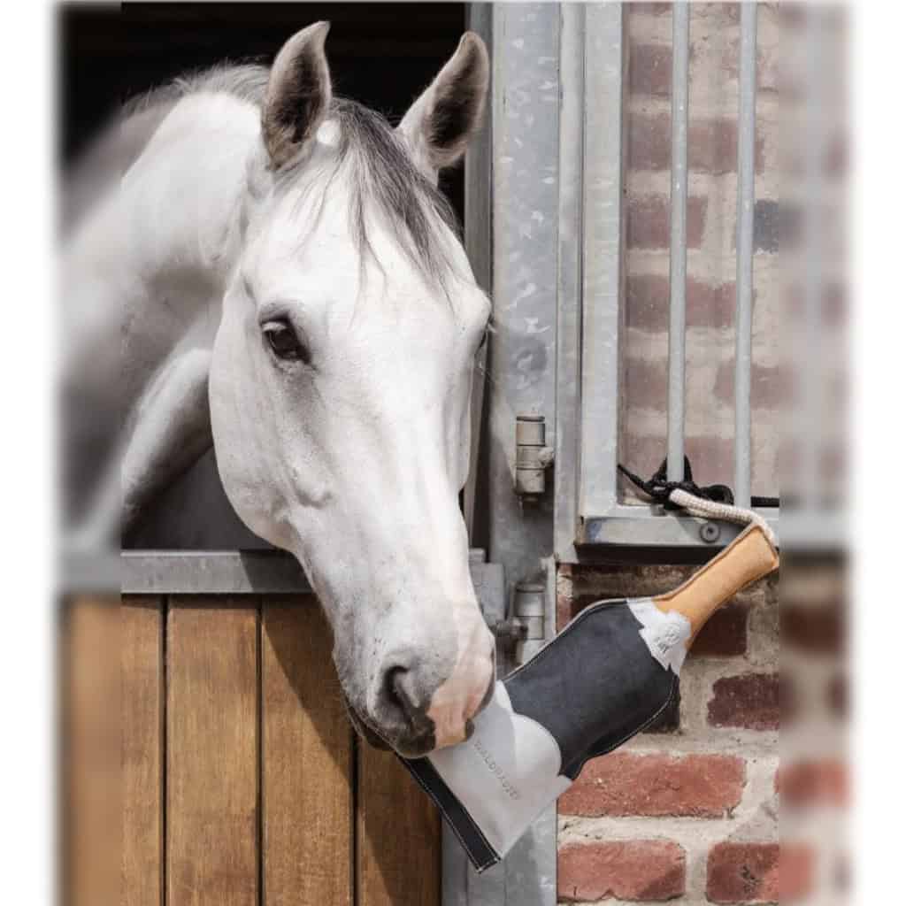 Horse Stable Toy - Champagne Bottle
