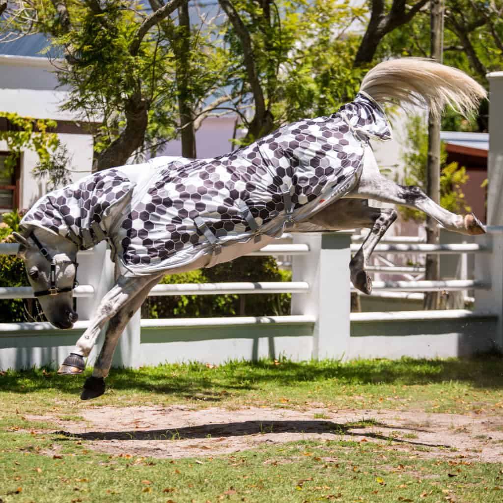 Equilibrium Field Relief Fly Rug (latest design)