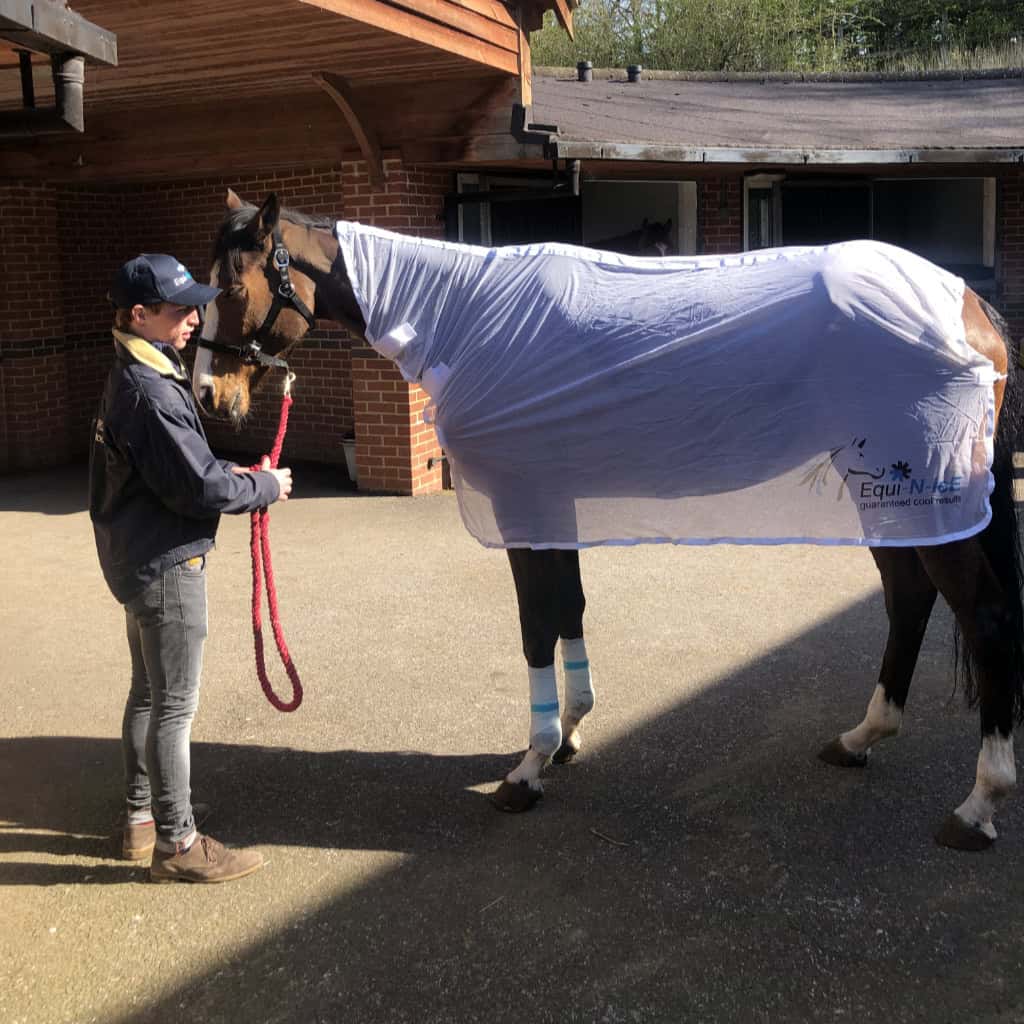 Equi-N-ice Rapid Cooler Rug (One Size fits 14hh-17hh)