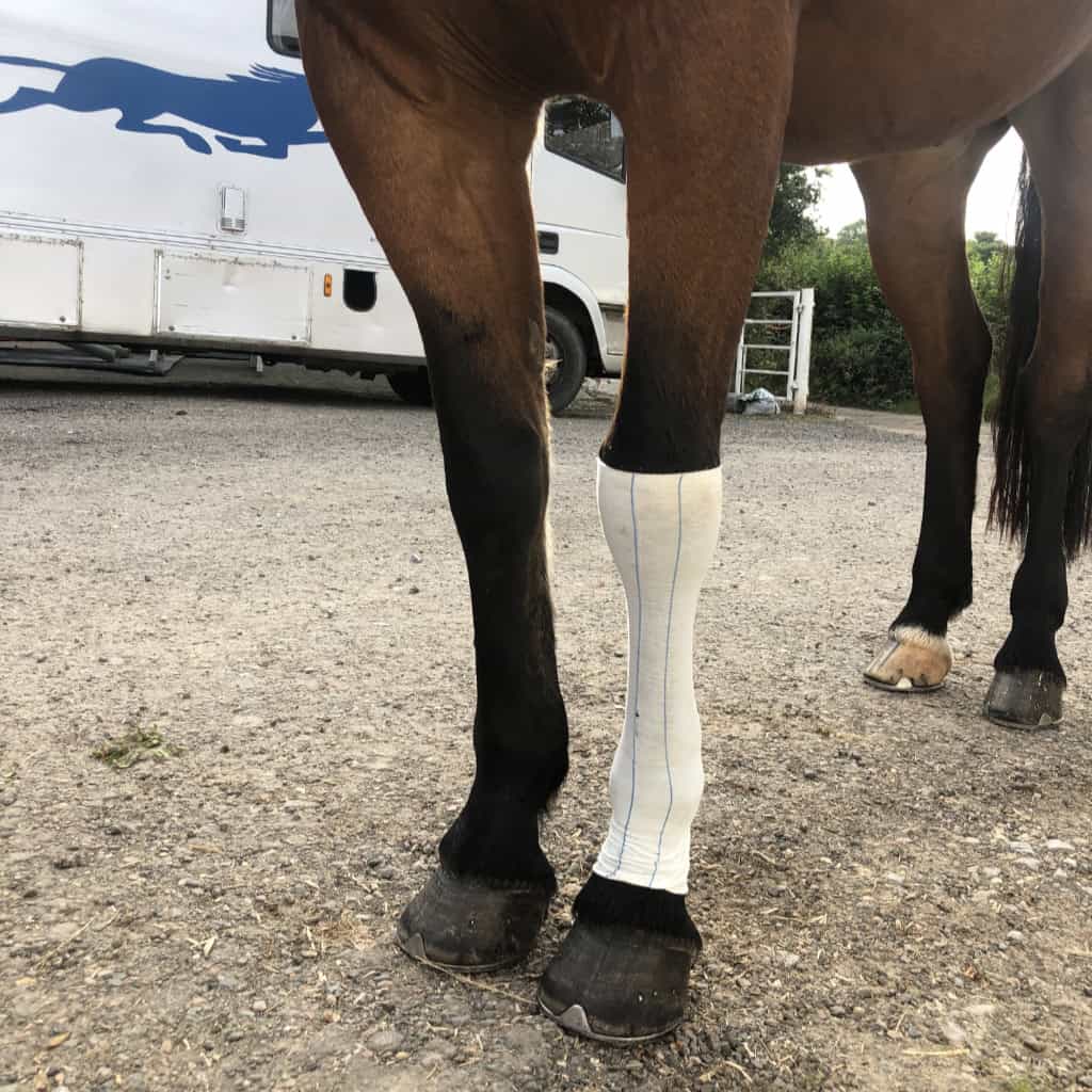 Equi-N-ice Ice Sock