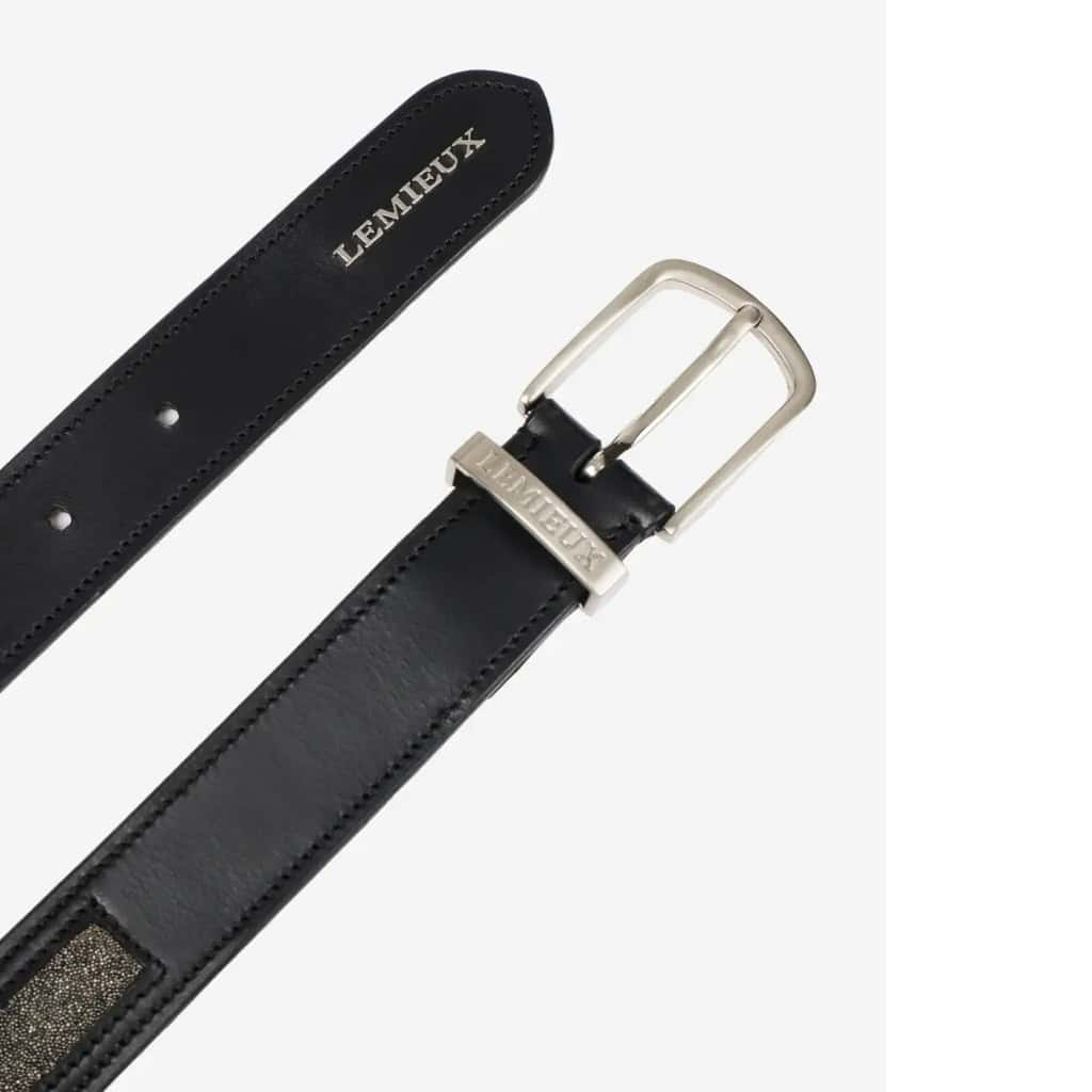 LeMieux Crystal Insert Belt