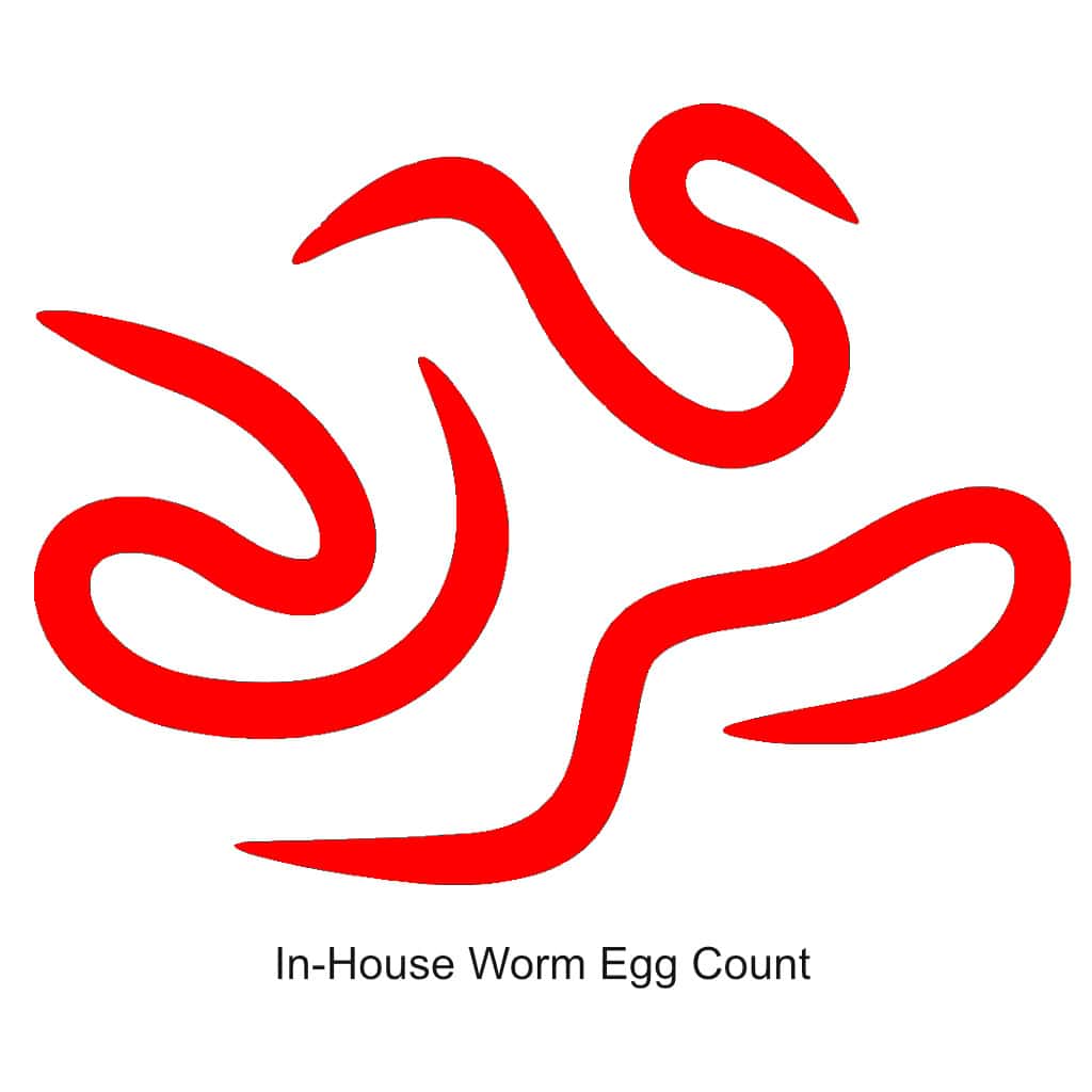 In-Store Worm Egg Count Service
