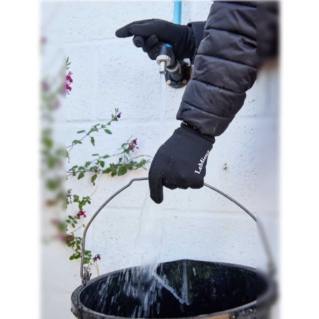 LeMieux Sealskinz Waterproof Riding Gloves