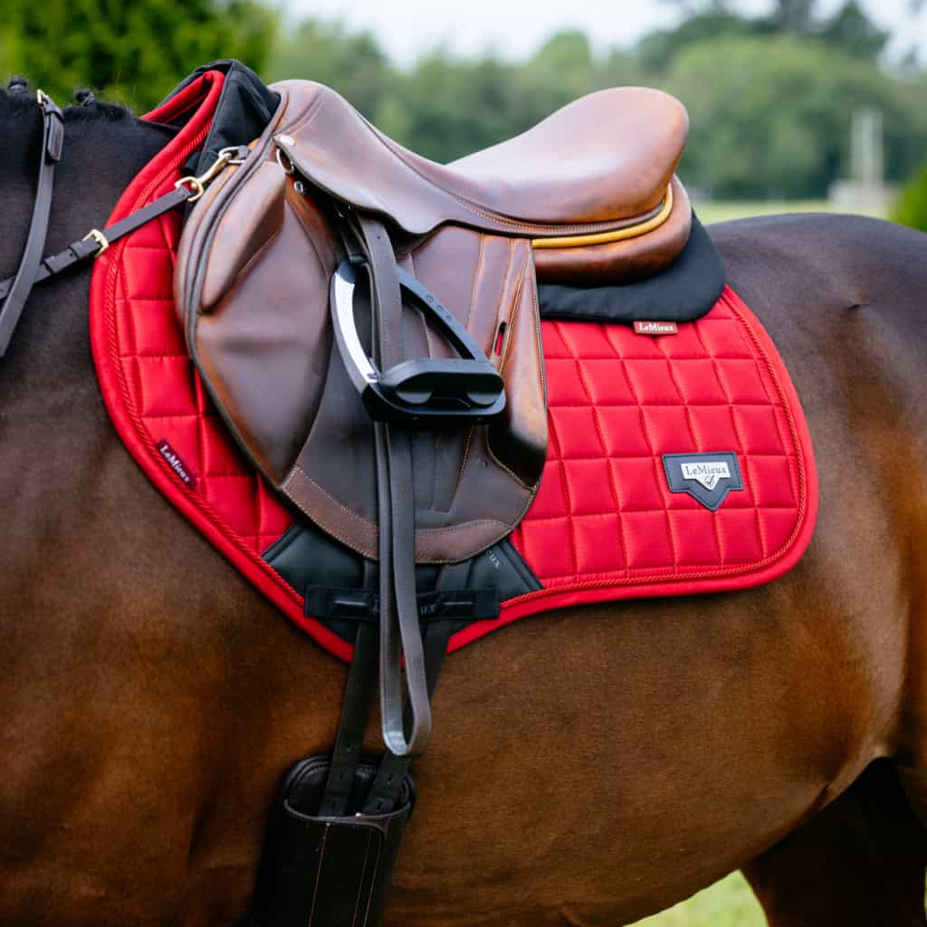 LeMieux Loire Satin GP / Jumping Square