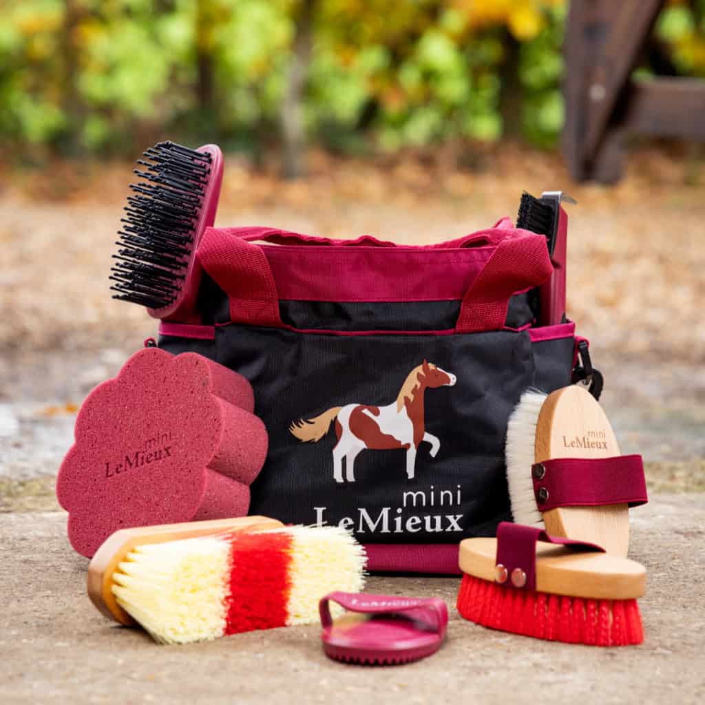 LeMieux Mini Grooming Kit for Children