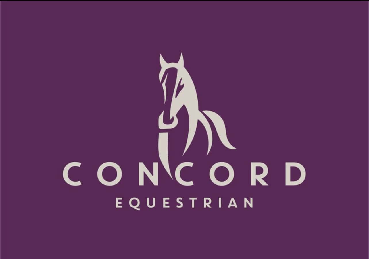15kg bag of absorbent Concord Straw Pellet horse bedding