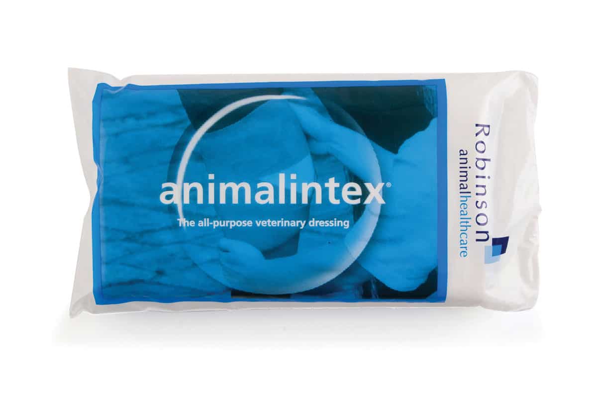 Animalintex Poultice Dressing