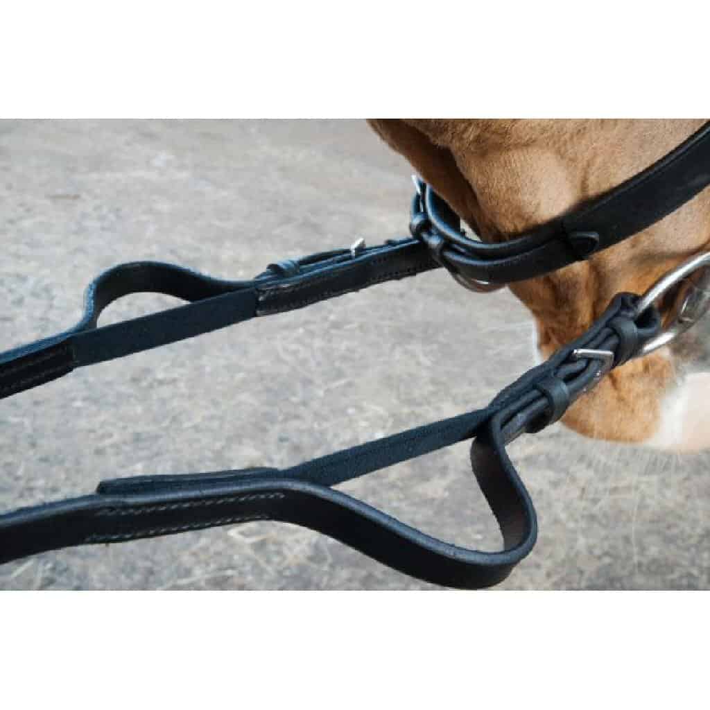 Carl Hester Fantastic Elastic Training Reins