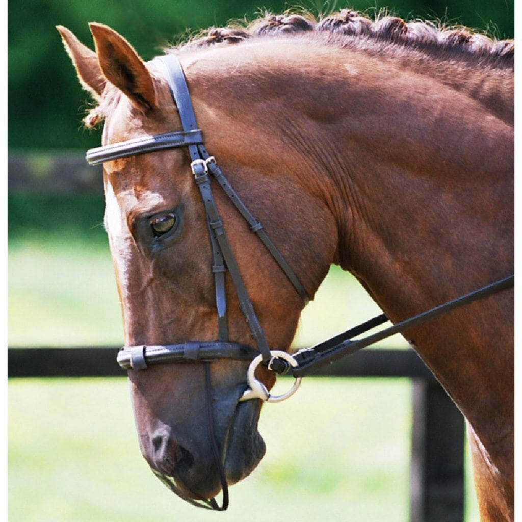Equisafety Horse Nose Band – Durable And Adjustable Bridle Noseband