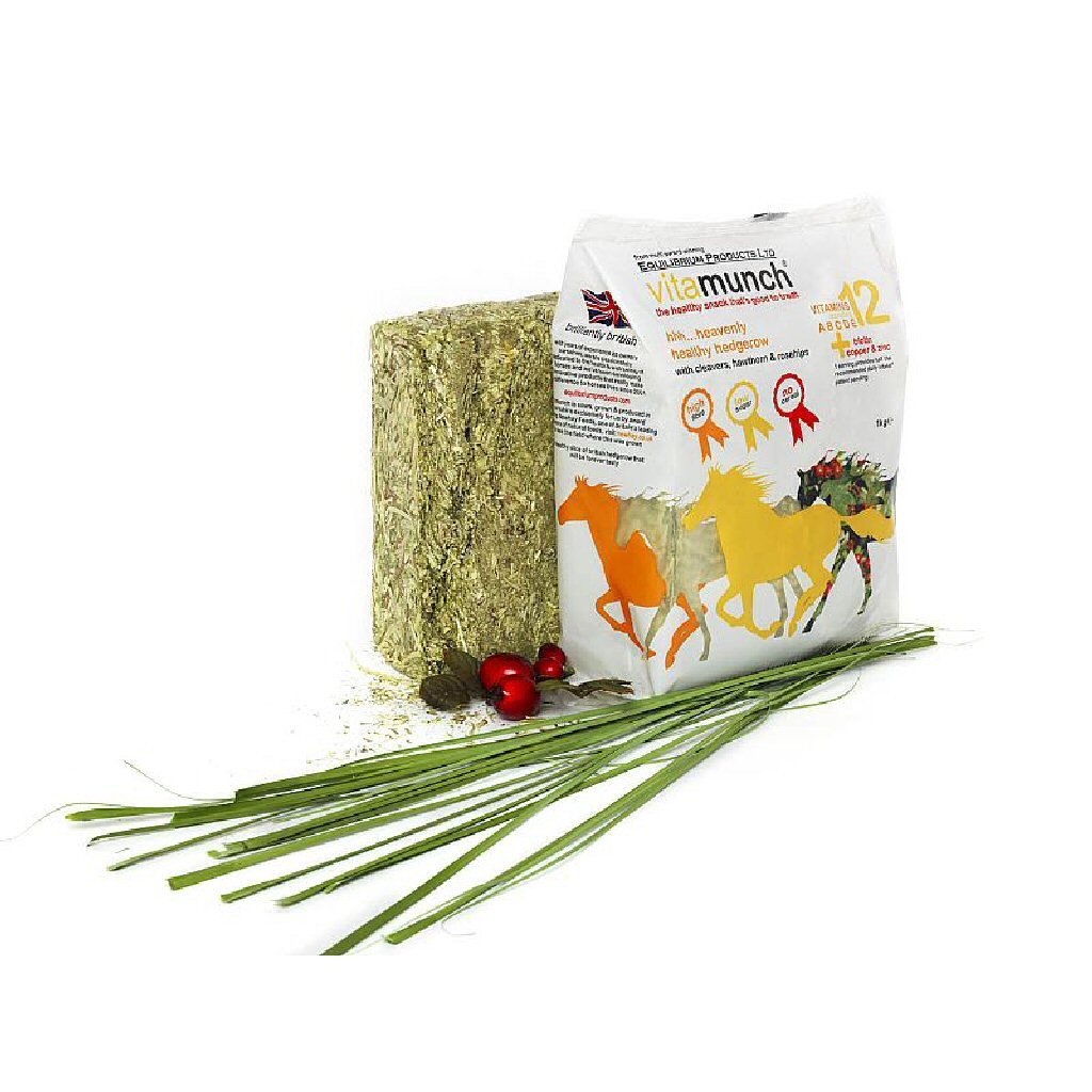 Equilibrium VitaMunch Hedgerow Snack Block (Single Block)