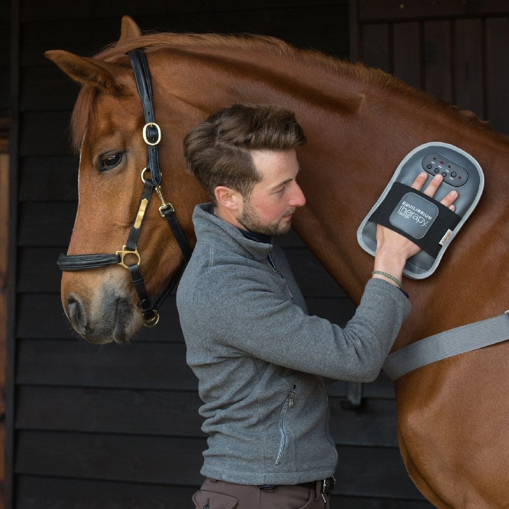 Equilibrium Massage Mitt