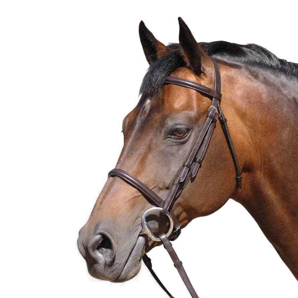 Caldene Small Pony Plain Raised Bridle with Reins