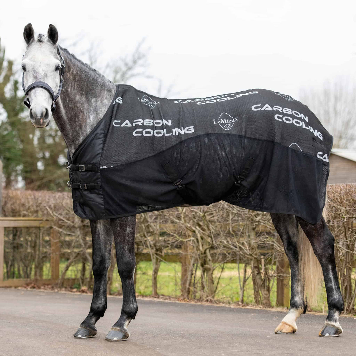 LeMieux Carbon Cooler Rug