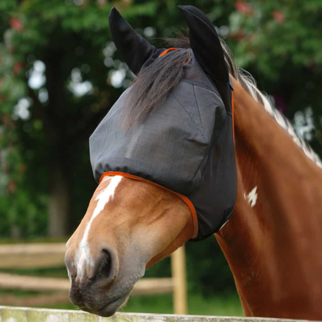 Equilibrium Midi (WITH EARS) Fly Mask