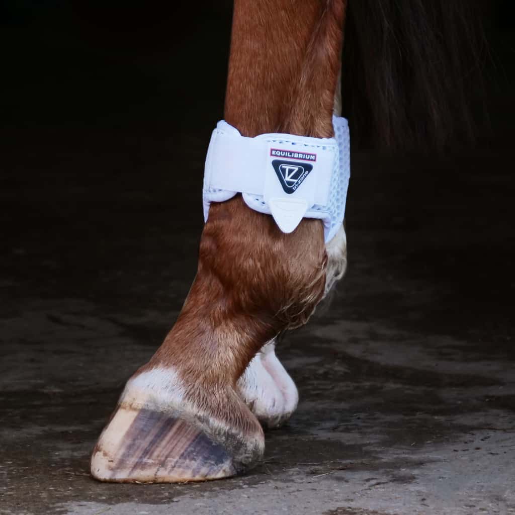 Equilibrium Fetlock Boots