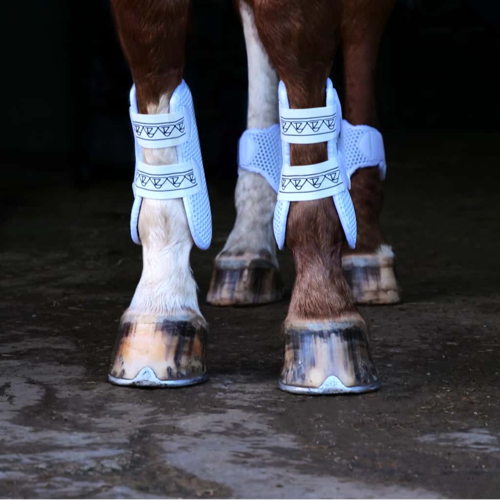 Equilibrium Open Fronted Tendon Boots