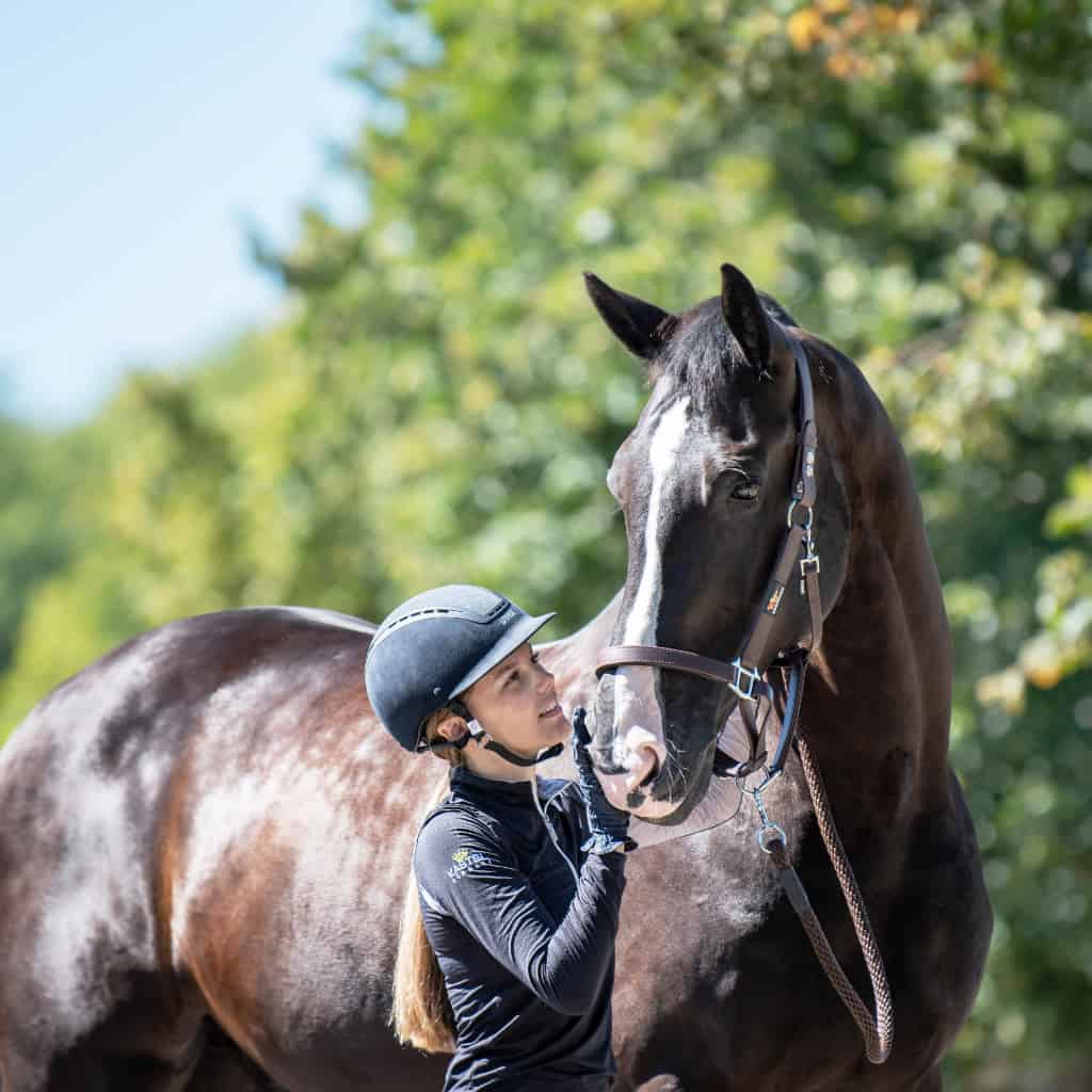 Equilibrium Stellar Safety Headcollar