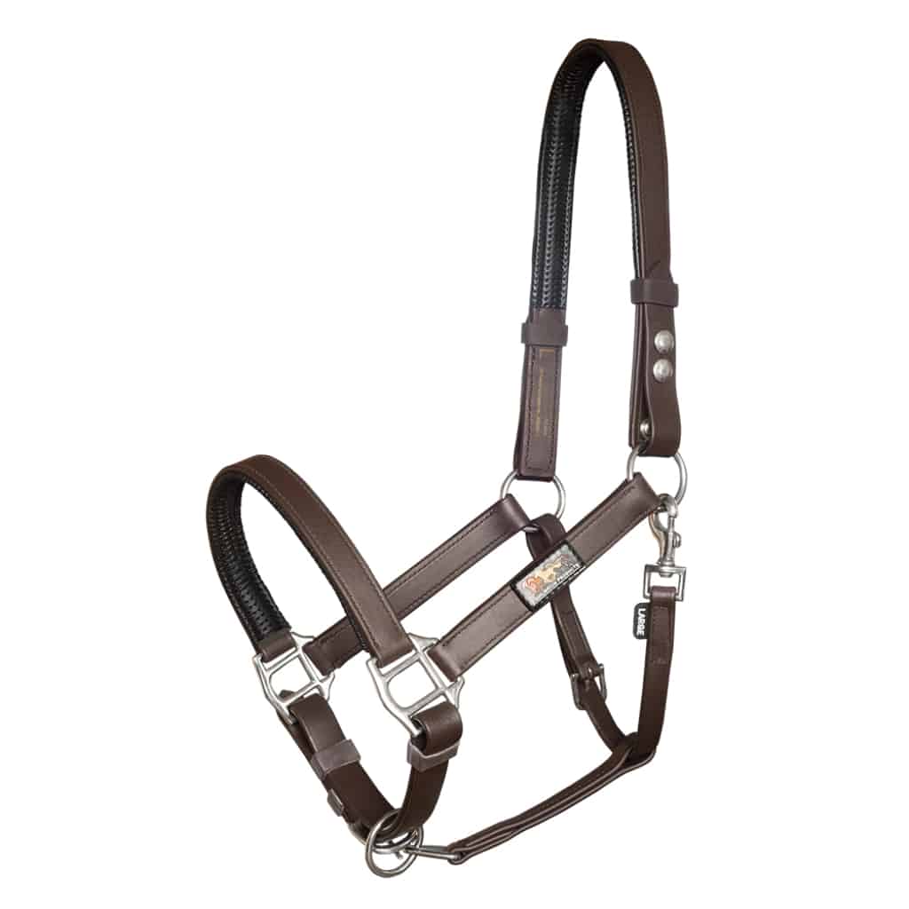 Equilibrium Stellar Safety Headcollar