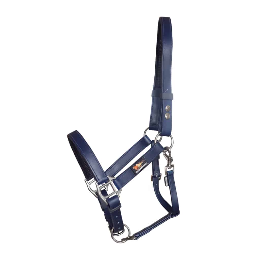 Equilibrium Stellar Safety Headcollar