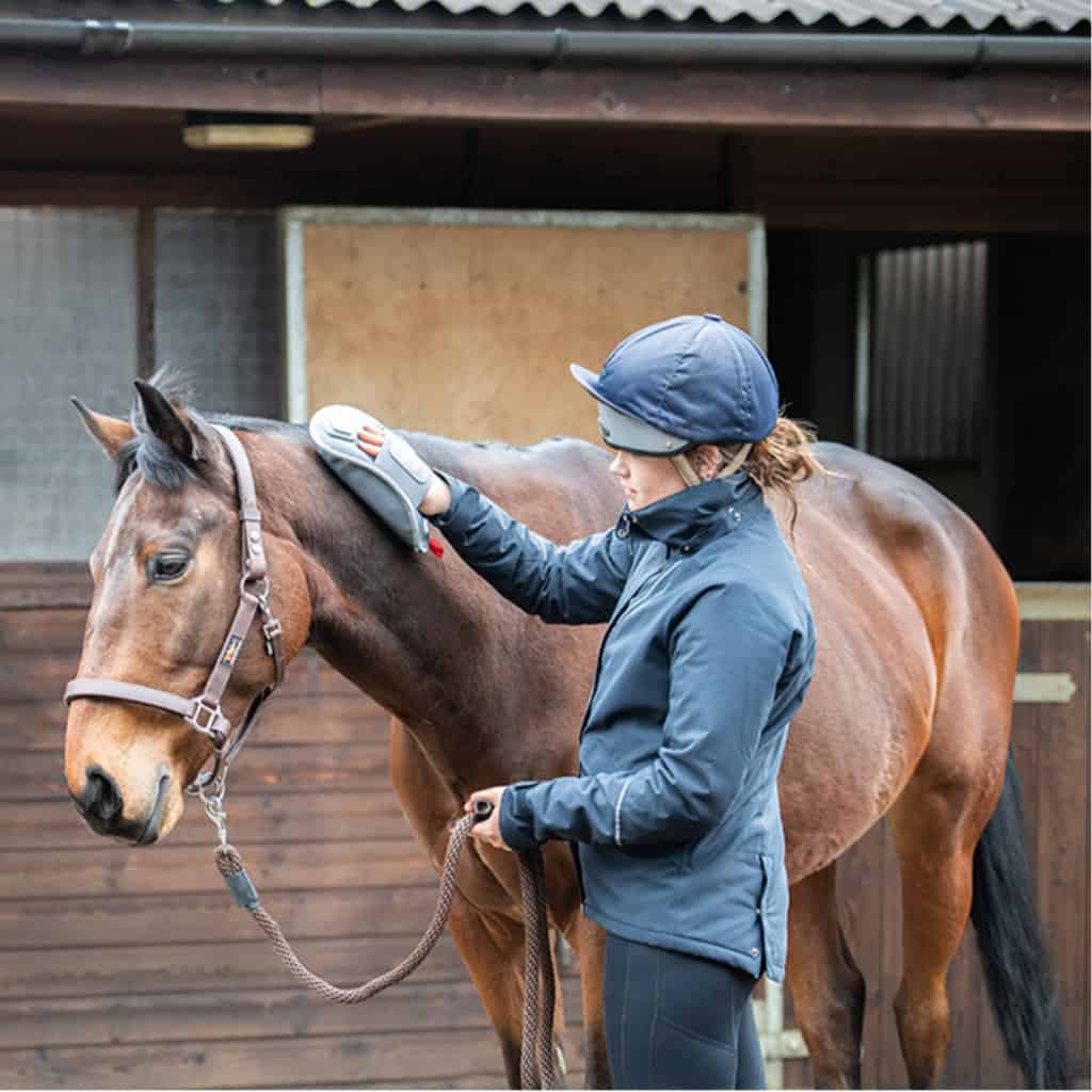 Equilibrium HotSpot Massage Mitt