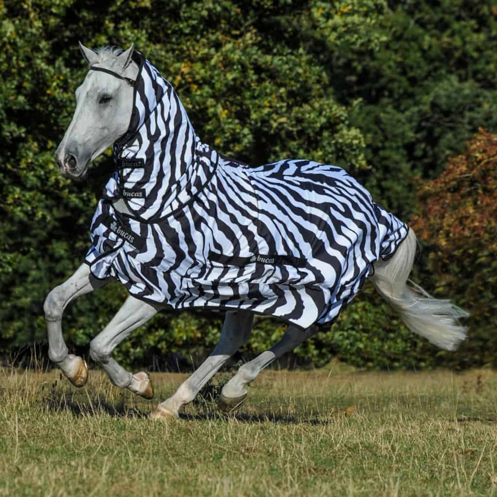 Bucas Sweet Itch Zebra Rug