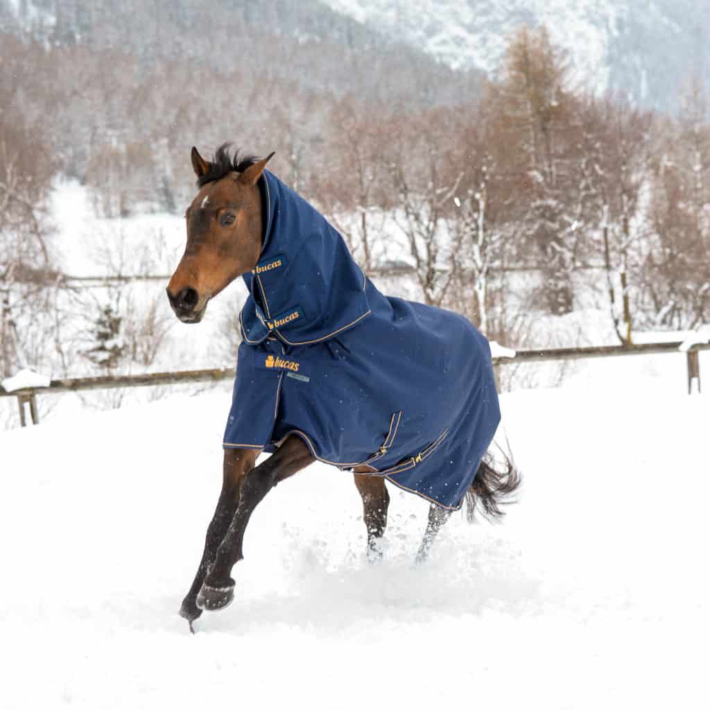BUCAS Combi Neck for Irish Turnout Rug