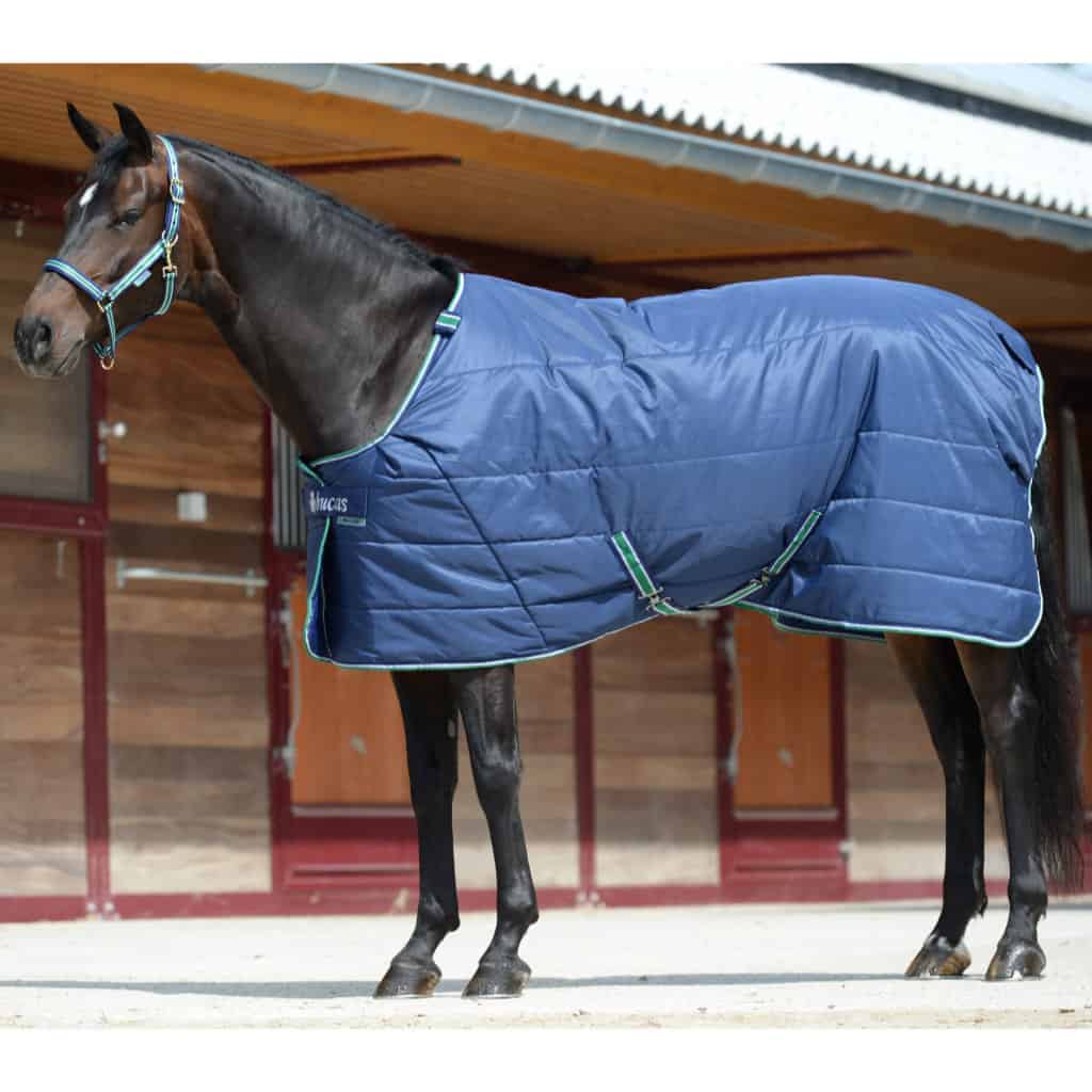 Bucas 455 Quilt Big Neck Under-Rug / Stable Rug - Medium Weight (150g) - equichoice.co.uk