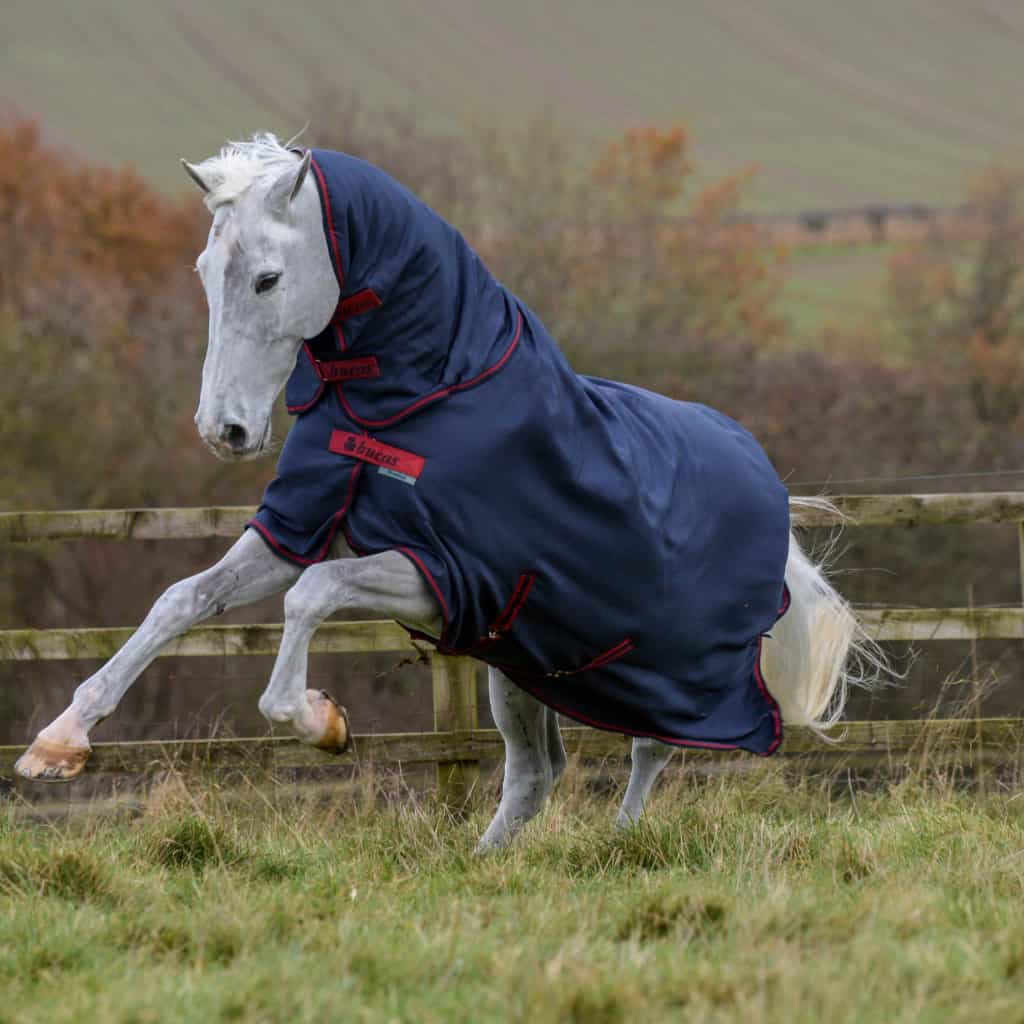 Bucas 671 Freedom Turnout Rug Full Neck Heavyweight (300g)