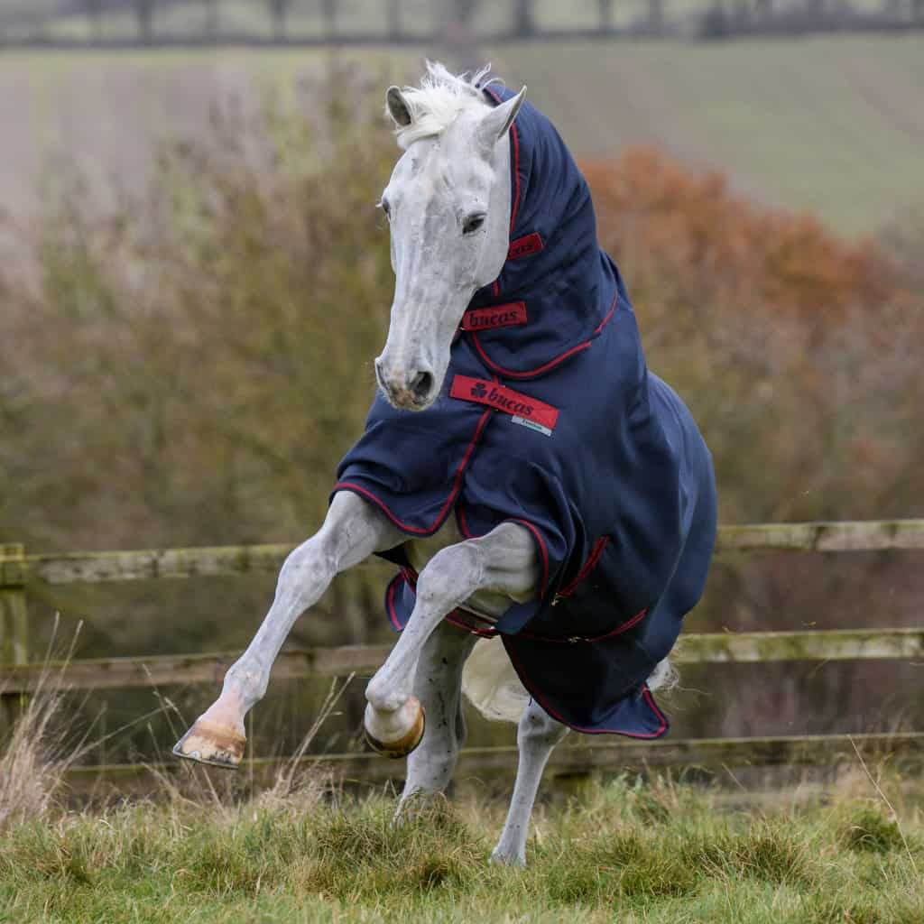 Bucas 671 Freedom Turnout Rug Full Neck Heavyweight (300g)