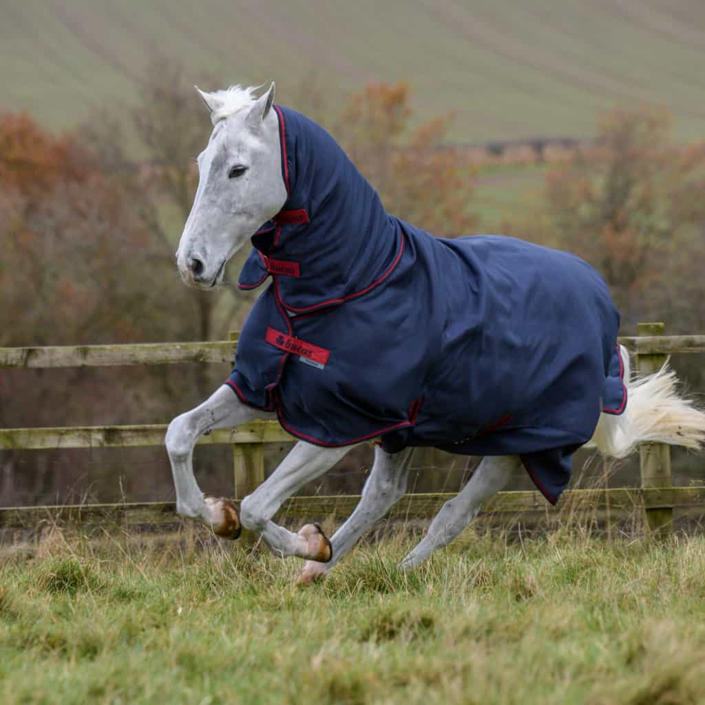 Bucas 671 Freedom Turnout Rug Full Neck Heavyweight (300g)