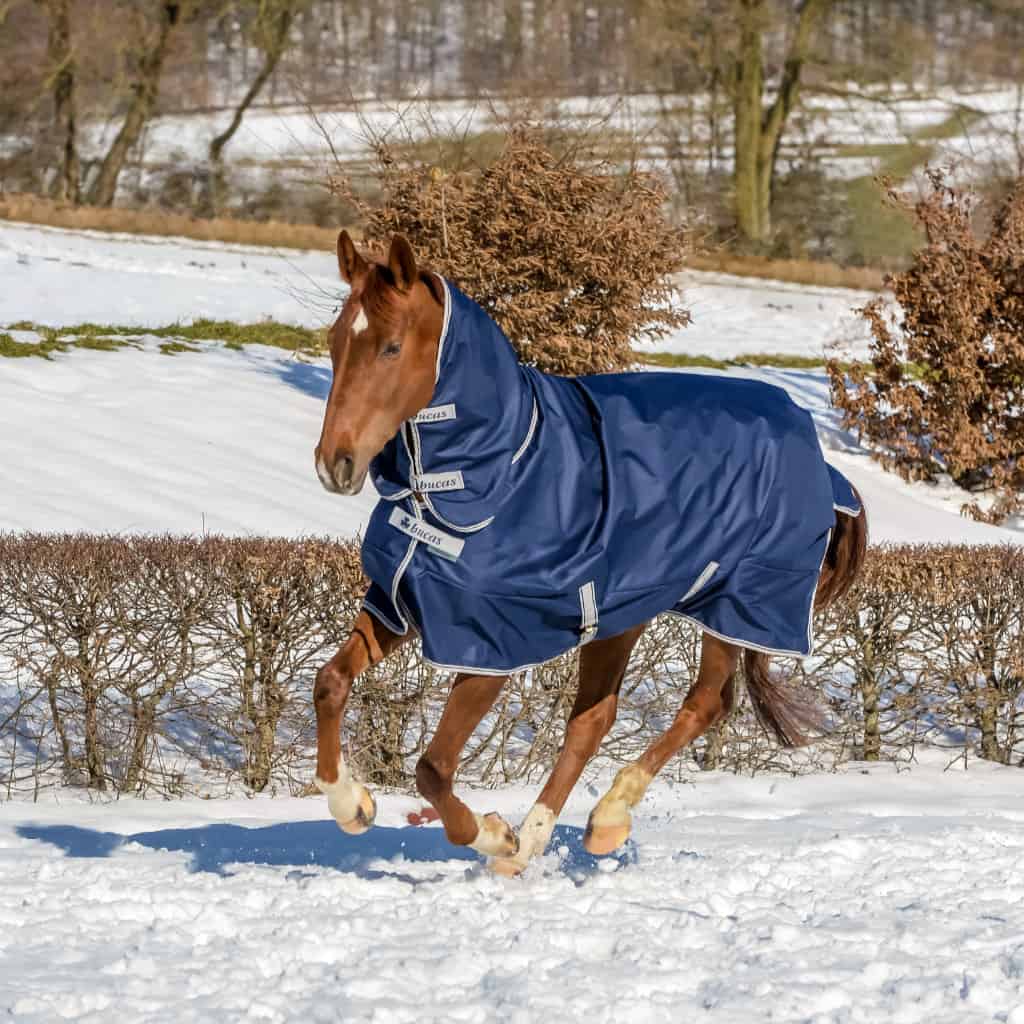 Bucas 672 Freedom Medium Weight Turnout Rug with Full Neck (150g)