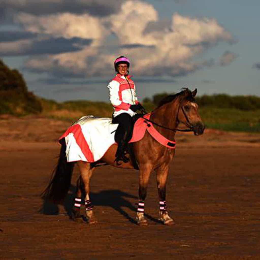 Equisafety MERCURY Reflective Horse Exercise Rug